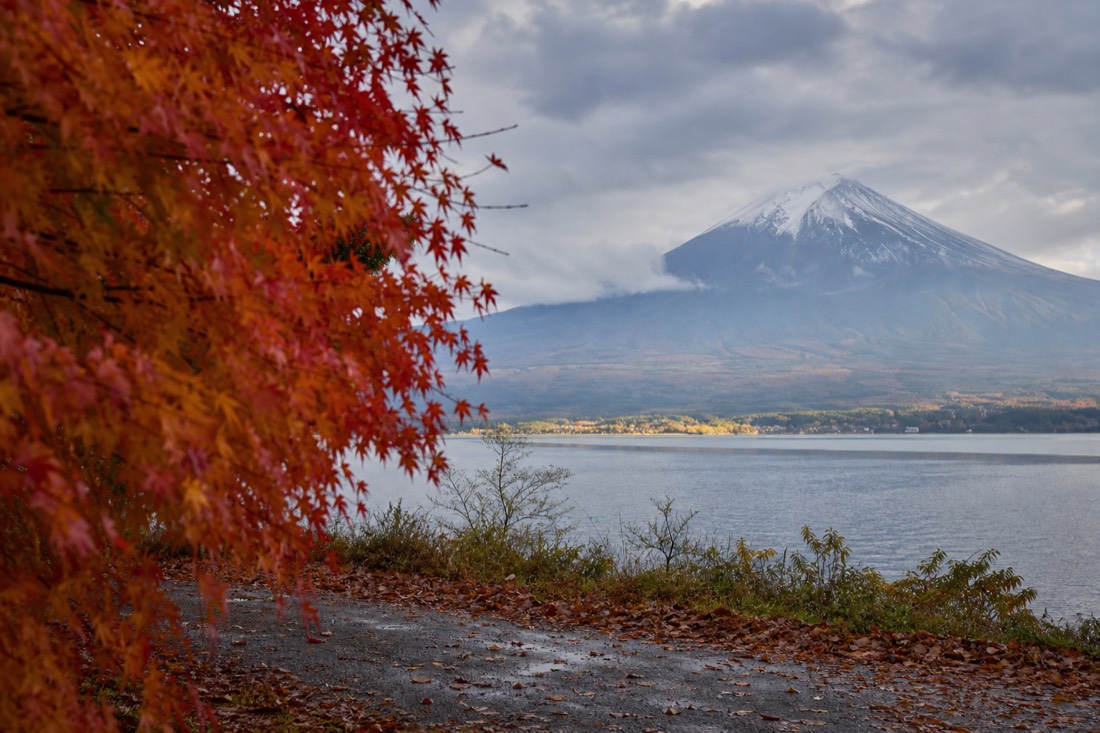 富士山秋日红叶示意图