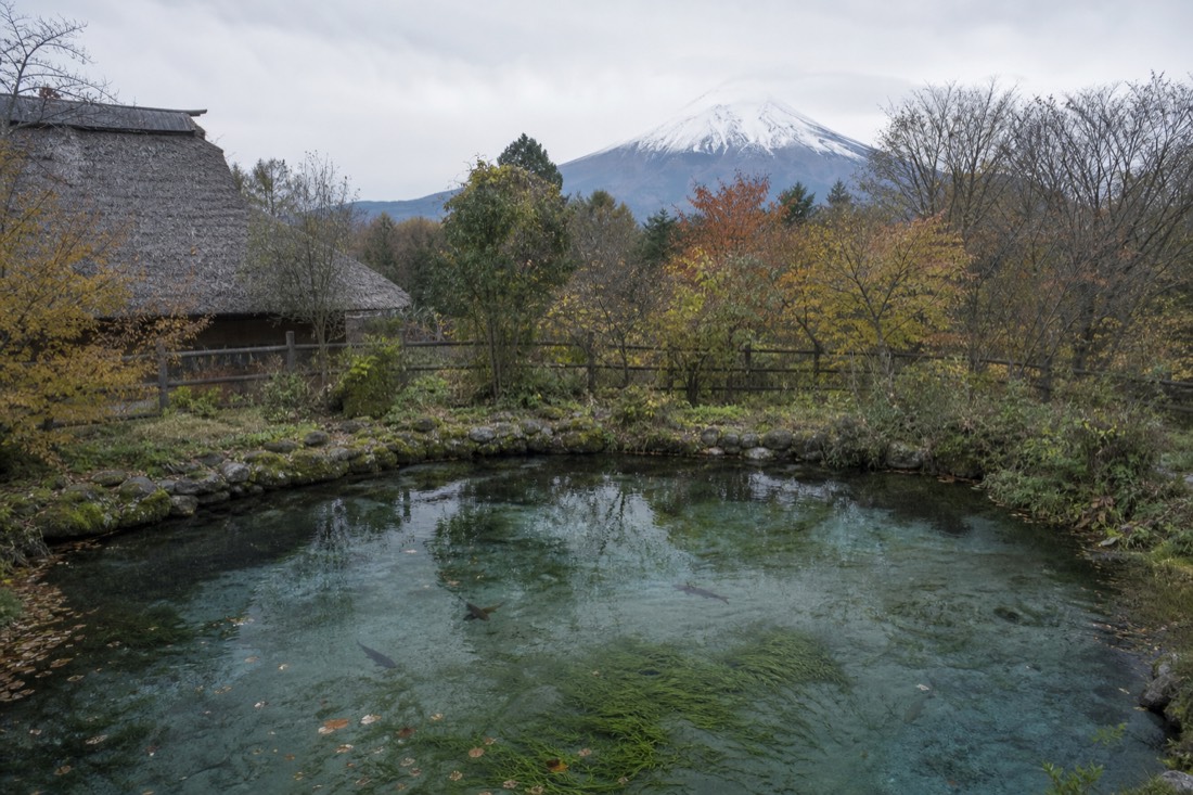 Spring-fed ponds at Oshino Hakkai