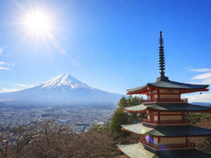 Mt. Fuji 6 Attractions Tour from Tokyo: Lake Kawaguchi, Oshino Hakkai & More