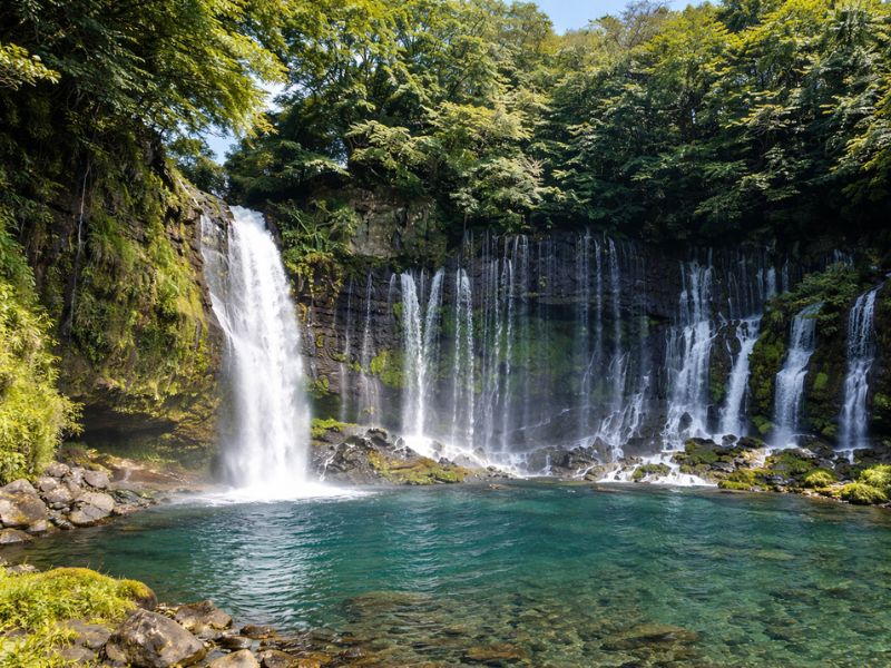 Mt. Fuji 6-Hour Private Nature Tour from Shin-Fuji with Guide & Vehicle