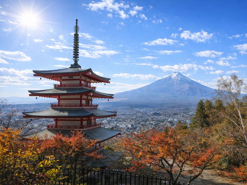 Mt. Fuji Full-Day Private Customizable Tour from Tokyo
