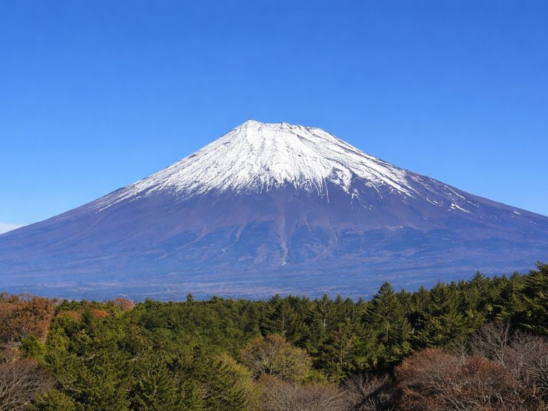Mt. Fuji Highlight Photo Spots Day Tour from Tokyo