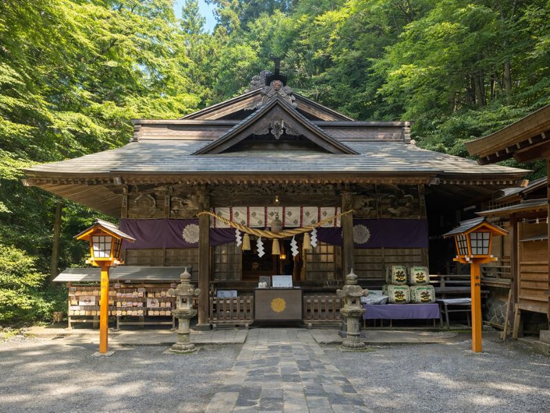 Mt. Fuji Private Tour with Nature & Wasabi Farm Visit